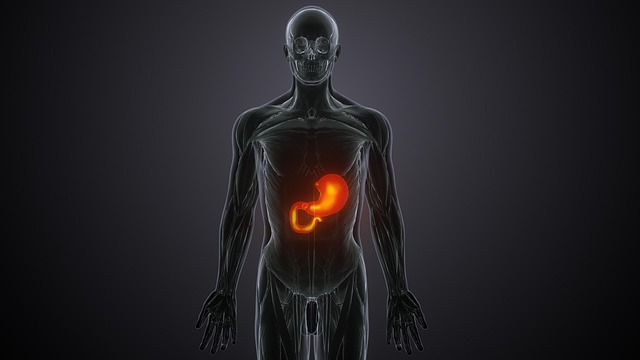 liver