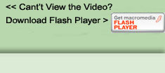 Download Flash Player